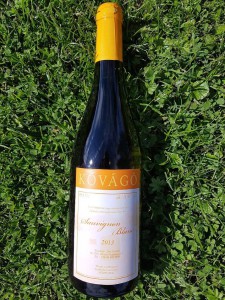 Kovago Sawignon Blanc 2013